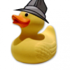 @Ducks@ducks.dev avatar