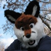 @Xianfox@pawb.social avatar