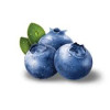 @blueberry@lemmygrad.ml avatar