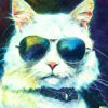 @TheSkoomaCat@beehaw.org avatar