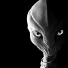 @aliens@infosec.pub avatar