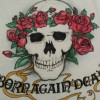 @deadheadned@heads.social avatar