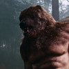 @bearboy@hexbear.net avatar