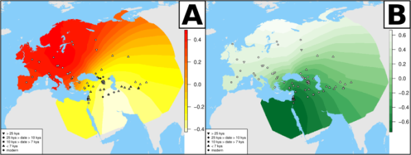 "Focal area for the Hub (A, white to light yellow hues show the most likely Hub location from a genetic perspective) and for Basal Eurasian ancestry (B, dark hues show higher proportion of a Basal Eurasian component) based on at least 75% WEC ancestry. The grayscale in individual population points is proportional to the inferred proximity to the Hub (A) or the proportion of Basal Eurasian ancestry (B). kya stands for thousands of years ago. Source Data in Supplementary Data 11."