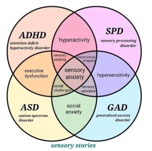 A vin diagram shows the intersection of four circles: ADHD, SPD, ASD, and GAD and issues such as:

* hyperactivity
* sensory seeking
* concentration struggles
* executive dysfunction
* sensory anxiety
* social challenges
* hypersensitivity
* sensory sensitivity
* social anxiety