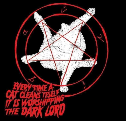 Every tokens cat cleans itself it is worshipping the Dark Lord

[Illustration of a cat cleaning itself with its contorted body making a pentagram]