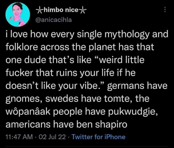 "I love how every single mythology and folklore across the planet has that one dude that's like "weird little fucker that ruins your life if he doesn't like your vibe." germans have gnomes, swedes have tomte, the wopanaak people have pulwudgie, americans have ben shapiro."