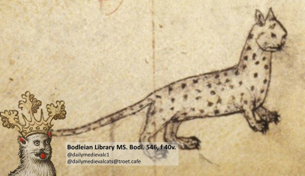 Picture from a medieval manuscript: A white cat with black dots.