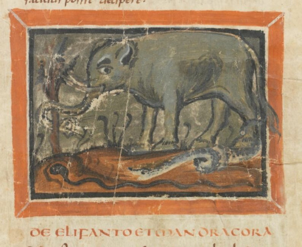 Image of an elephant from a medieval manuscript