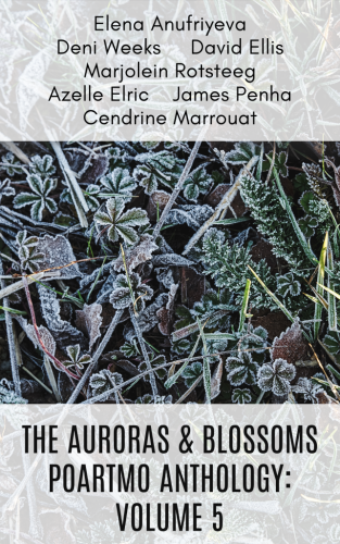 The cover of 'The Auroras & Blossoms PoArtMo Anthology: Volume 5' features a picture of rimefrosted green leaves, along with the names of the contributors: Elena Anufriyeva, Deni Weeks, David Ellis, Marjolein Rotsteeg, Azelle Eric, James Penha and Cendrine Marrouat