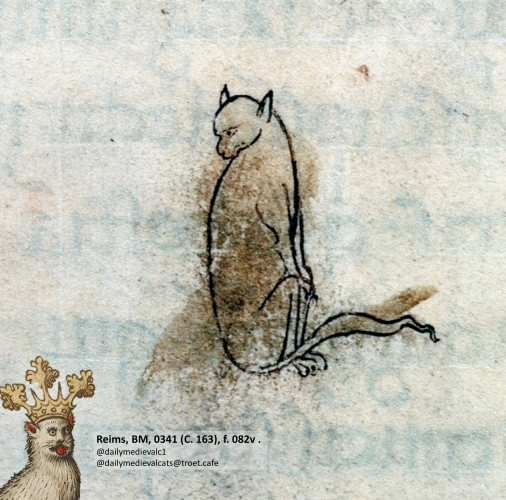 Picture from a medieval manuscript: A cat looking over its shoulder