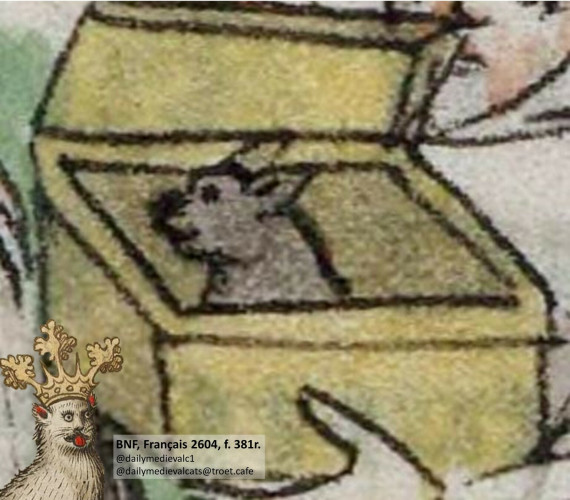 Picture from a medieval manuscript: Image of a cat in a box.