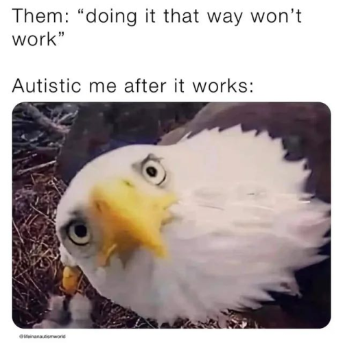 An Eagle is looking up straight at you. A caption reads,
Them: "doing it that way won't work"
Autistic me after it works.

image: @lifeinanautismworld