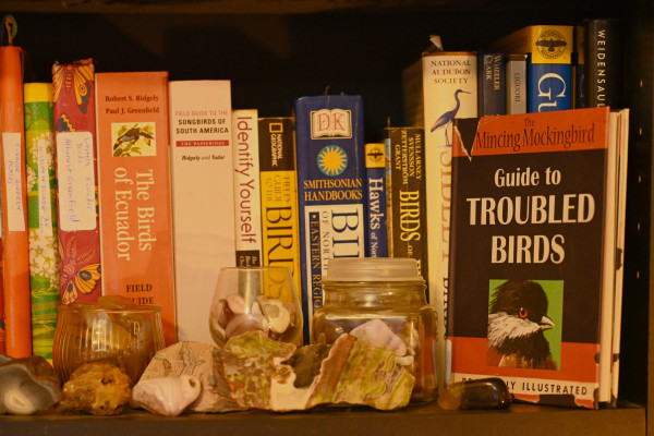 A detail from a home-made bookshelf shows a small collection of my bird guides, including some The Mincing Mockingbird's "Guide to Troubled BIrds" with the faux distressed cover.  The shelf is deep enough that you can see a couple of jars of tumbled stones in front of the books. A Project 365 photograph by Peachfront.