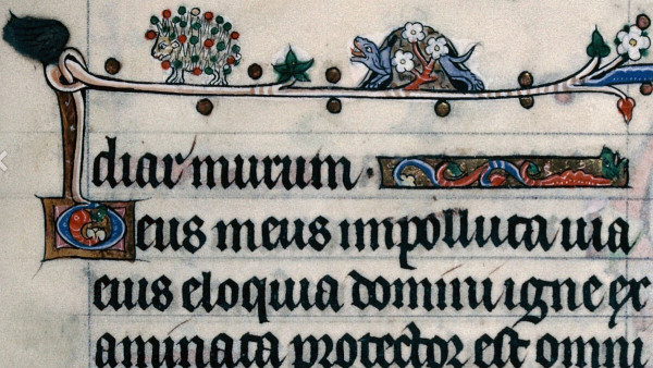 The tortoise with red and blue balls on its spines is pursued along the foliage forming the upper border of  a medieval manuscript page... by a tortoise with the enthusiasm of a puppy, bedecked in flowers. Curled in an initial "D" two lines below - a bookworm?