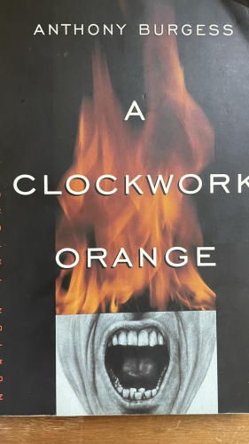 Book cover featuring flames and a screaming mouth