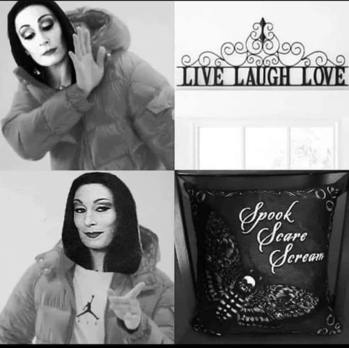 It's that Drake meme but with Anjelica Houston as Morticia with her saying no to "LIVE LAUGH LOVE" and yes to "SPOOK SCARE SCREAM"