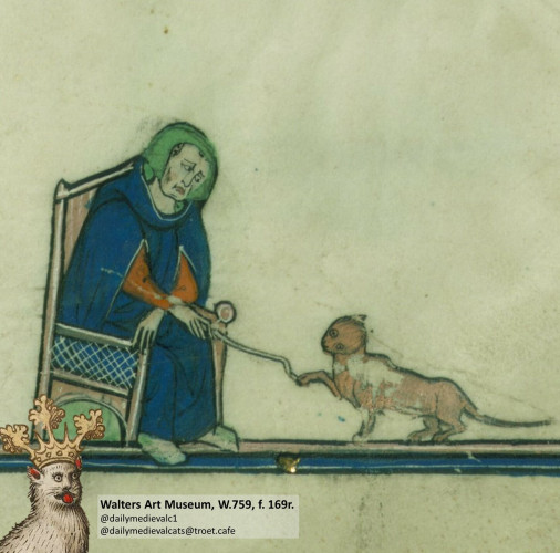 Picture from a medieval manuscript: A cat wants to have a thread