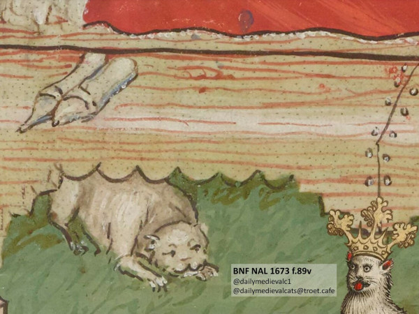 Picture from a medieval manuscript: A white cat lying under a bed in a waiting position.