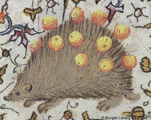 A hedgehog facing left with golden apples on its spies. He has a small, mouselike face. 