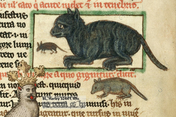 Picture from a medieval manuscript: A black cat and a mouse.