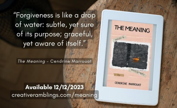 An extract from The Meaning by Cendrine Marrouat: “Forgiveness is like a drop of water: subtle, yet sure of its purpose; graceful, e yet aware of itself.” 