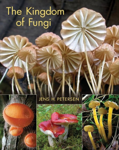 The Kingdom of Fungi provides an intimate look at the world's astonishing variety of fungi species, from cup fungi and lichens to truffles and tooth fungi, clubs and corals, and jelly fungi and puffballs. This beautifully illustrated book features more than 800 stunning color photographs as well as a concise text that describes the biology and ecology of fungi, fungal morphology, where fungi grow, and human interactions with and uses of fungi.

The Kingdom of Fungi is a feast for the senses, and the ideal reference for naturalists, researchers, and anyone interested in fungi.

Reveals fungal life as never seen before 

Features more than 800 stunning color photos 

Describes fungal biology, morphology, distribution, and uses 

A must-have reference book for naturalists and researchers