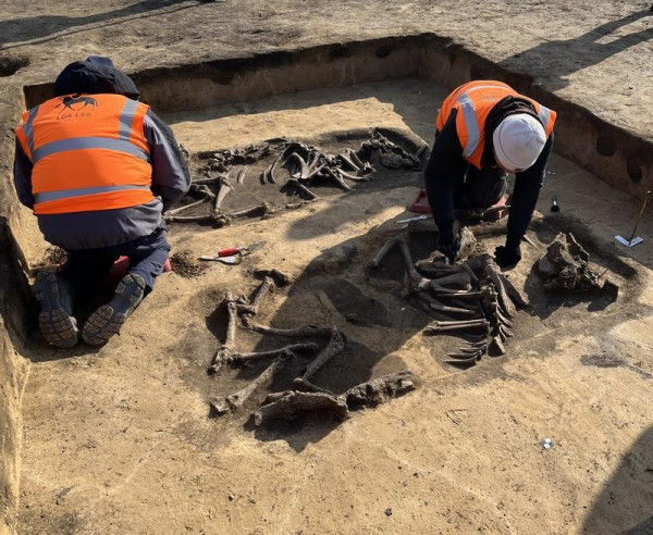 archaeologists working on skeletons still in the ground