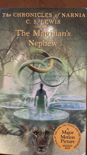 Book cover featuring hazy trees rings and a human figure