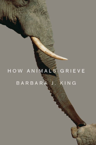 From the time of our earliest childhood encounters with animals, we casually ascribe familiar emotions to them. But scientists have long cautioned against such anthropomorphizing, arguing that it limits our ability to truly comprehend the lives of other creatures. Recently, however, things have begun to shift in the other direction, and anthropologist Barbara J. King is at the forefront of that movement, arguing strenuously that we can—and should—attend to animal emotions. With How Animals Grieve, she draws our attention to the specific case of grief, and relates story after story—from fieldsites, farms, homes, and more—of animals mourning lost companions, mates, or friends. King tells of elephants surrounding their matriarch as she weakens and dies, and, in the following days, attending to her corpse as if holding a vigil. A housecat loses her sister, from whom she's never before been parted, and spends weeks pacing the apartment, wailing plaintively. A baboon loses her daughter to a predator and sinks into grief. In each case, King uses her anthropological training to interpret and try to explain what we see—to help us understand this animal grief properly, as something neither the same as nor wholly different from the human experience of loss. The resulting book is both daring and down-to-earth, strikingly ambitious even as it’s careful to acknowledge the limits of our understanding.