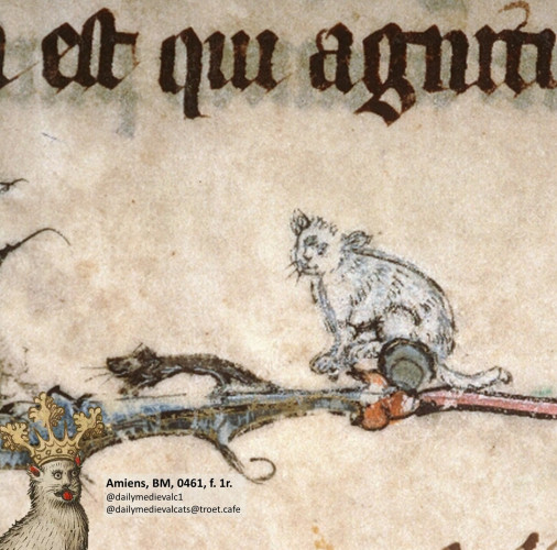 Picture from a medieval manuscript: A happy looking mouse next to a happy looking cat