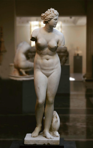 Roman marble copy of a Greek statue of Aphrodite. She is in the nude, both arms missing, a creepy Roman dolphin at her feet.