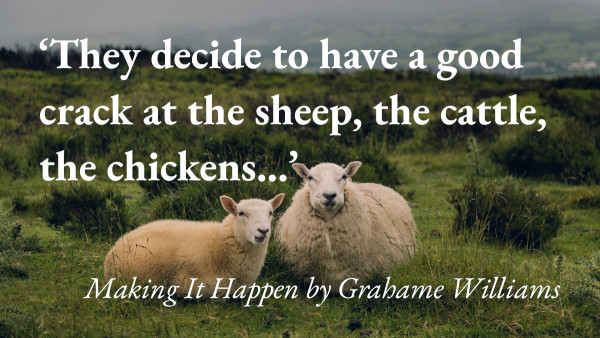 Two sheep in a field, with a quote from Grahame Williams' short story: 'They decide to have a good crack at the sheep, the cattle, the chickens…'