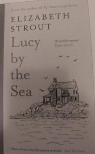 Cover of the book. A drawing of a house by the ocean. Gulls flying overhead.