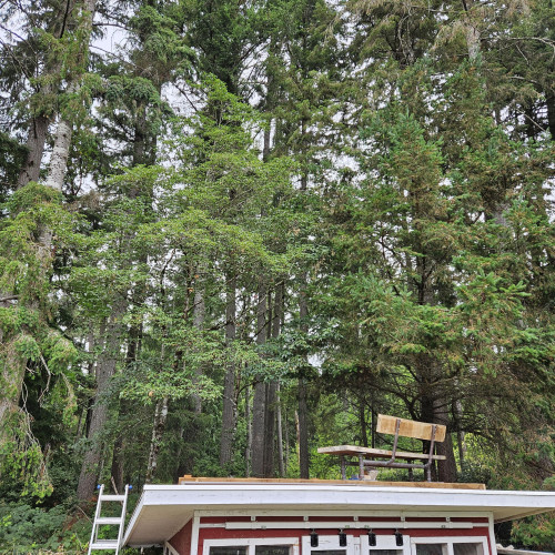 A bench atop a small chicken coop structure facing a forest. It is sitting in a level built deck as the coop roof slopes rearward.