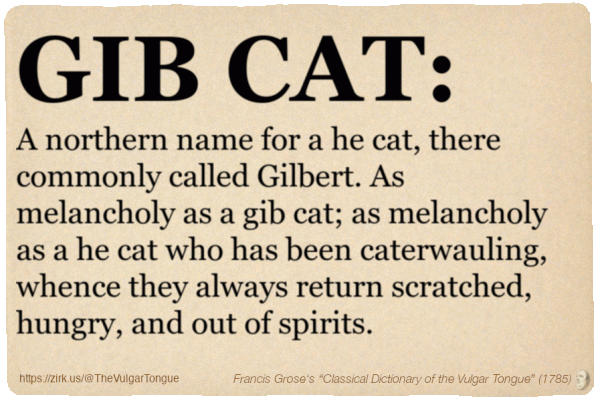 Image imitating a page from an old document, text (as in main toot):

GIB CAT. A northern name for a he cat, there commonly called Gilbert. As melancholy as a gib cat; as melancholy as a he cat who has been caterwauling, whence they always return scratched, hungry, and out of spirits. 

A selection from Francis Grose’s “Dictionary Of The Vulgar Tongue” (1785)
