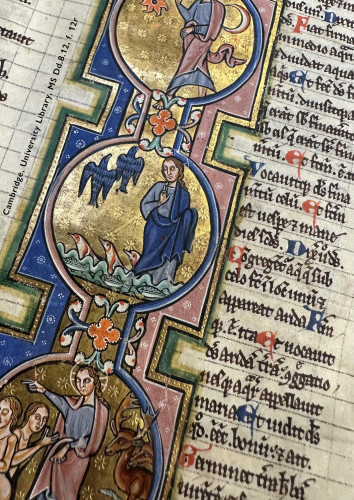 Detail of a leaf in a medieval Bible: folio 12 recto in Cambridge, University Library, manuscript Dd.8.12, photographed on a slight angle from the lower left. At right, 24 short lines of Latin copied in black ink with majuscules added in red & blue. To the left of this, the focus of the photo, stretches an illuminattion painted in stylized fashion in full colour and gold leaf. It is structured as a golden band linking a series of roundels, each depicting a day of Creation according to the Book of Genesis. In the topmost and bottommost scenes, God creates the sun and moon, and the creatures of the earth, including humans. Between these, in the only fully visible roundel, a young, long-haired God clad in blue robes creates the creatures of the sea—represented by fish teeming beneath green waves—and of the air—mainly represented by 2 black crows or ravens soaring heavenward (though a trio of pink & white seabirds emerge from the sea below).