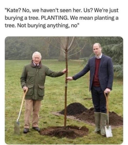 Picture of Charles and William standing next to a brand new tree they planted in the ground, holding the trunk up with text that says "Kate? No, we haven't seen her. Us? We're just burying a tree. PLANTING. We mean planting a tree. Not burying anything, no."