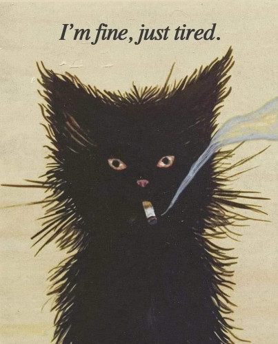 Illustration of a black cat looking harried smoking a cigarette with text that says "I'm fine, just tired."