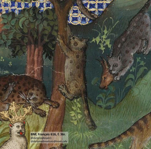 Picture from a medieval manuscript: A cat takes refuge on a tree