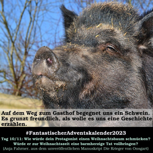 Ein Schwein
fantastischer Adventskalender Tag 10 und 11
Frage nach Weihnachtsgeschenk und barmherzige Tat.