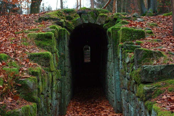 Photograph of a stone tunnel with moss growing on the strones at the entrance and fallen leaves all around it. One can see the other side of the tunnel in the darkness.