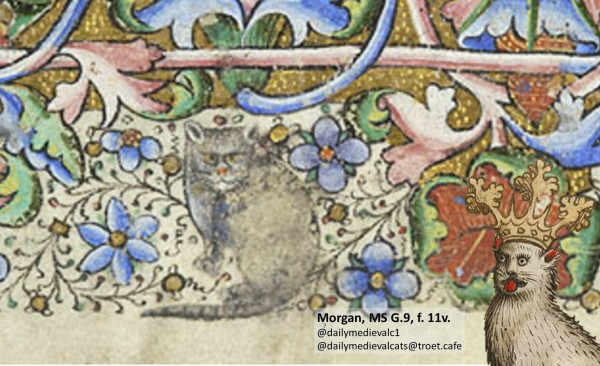 Picture from a medieval manuscript: A grey cat is sitting in the middle of flower ornaments