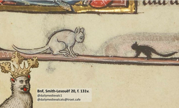 Picture from a medieval manuscript: A big white cat looking at a smaller black cat