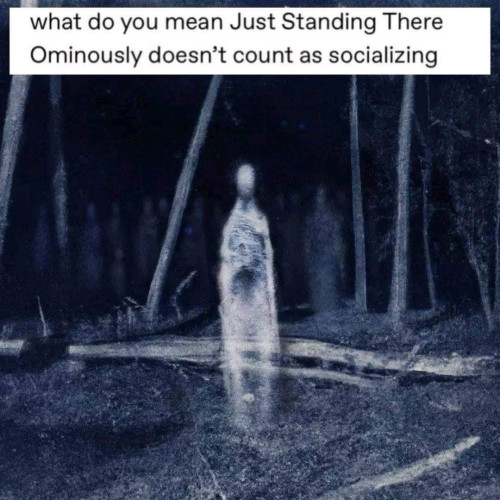 what do you mean Just Standing There Ominously doesn't count as socializing 

[Picture of a wraith in a forest standing there ominously]