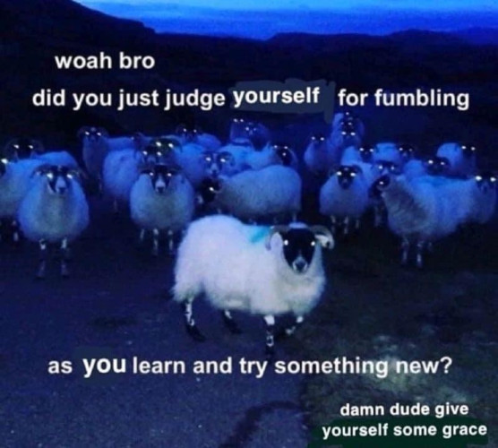 Picture of a flock of sheep standing around in the twilight with reflective eyes and the text:

whoa bro
did you just judge yourself from fumbling
as you learn and try something new?
damn dude give
yourself some grace