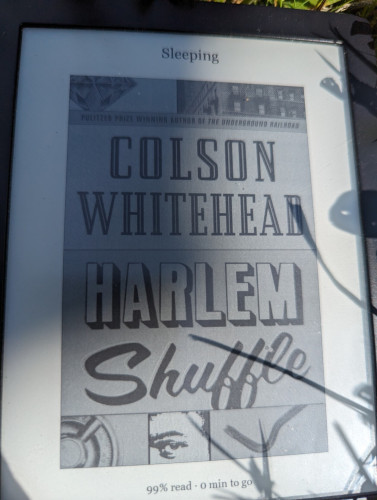 A photo of the cover of the ebook. Mainly the author's name and the title in striking fonts. Top left has a diamond. Top right a drawing of detail of a New York building.