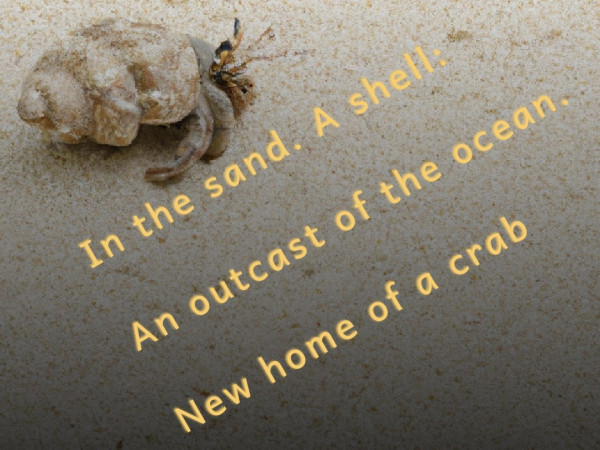 A hermit crab in the upper left corner, the rest of the image is the haiku itself