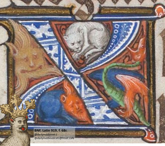 Picture from a medieval manuscript: A cat in a very tight space.