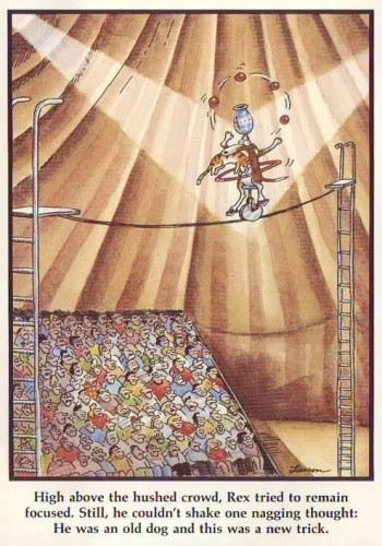 Gary Larson cartoon with a dog on a high wire and the caption “High above the hushed crowd, Rex tried to remain focused. Still, he couldn't shake one nagging thought:
He was an old dog and this was a new trick.”